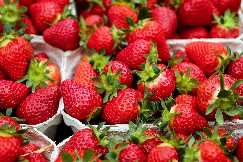 Strawberry Com Интернет Магазин